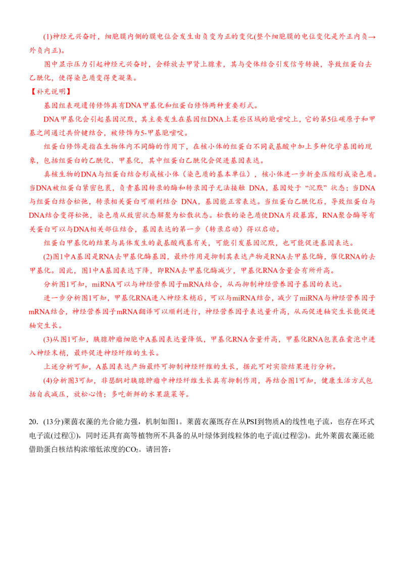 安徽省合肥一中2025-2026学年高三上学期1月考试生物答案(1)_2026年1月_260116安徽省合肥一中2025-2026学年高三上学期1月考试（全科）