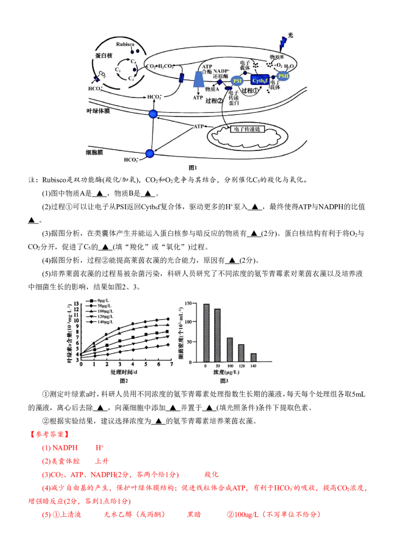 安徽省合肥一中2025-2026学年高三上学期1月考试生物答案(1)_2026年1月_260116安徽省合肥一中2025-2026学年高三上学期1月考试（全科）