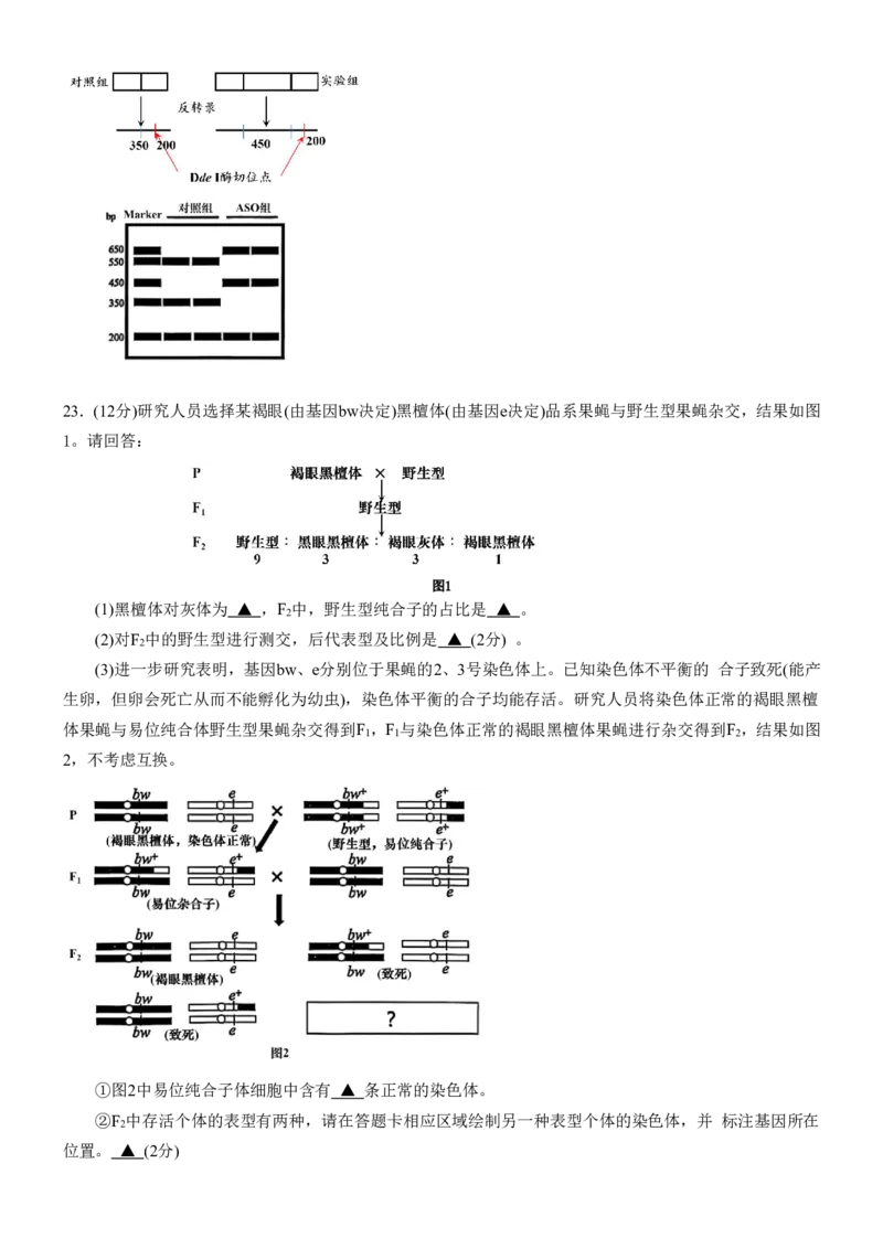安徽省合肥一中2025-2026学年高三上学期1月考试生物答案(1)_2026年1月_260116安徽省合肥一中2025-2026学年高三上学期1月考试（全科）