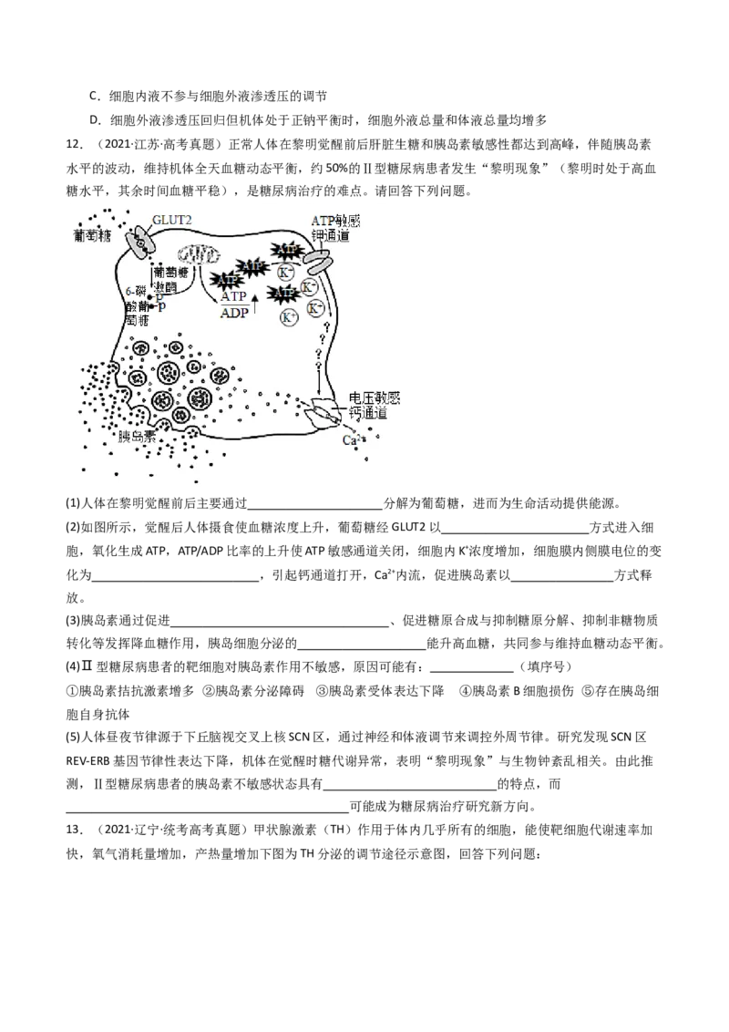 专题18体液调节（原卷卷）_近10年高考真题汇编（必刷）_十年（2014-2024）高考生物真题分项汇编（全国通用）_十年（2014-2023）高考生物真题分项汇编（全国通用）