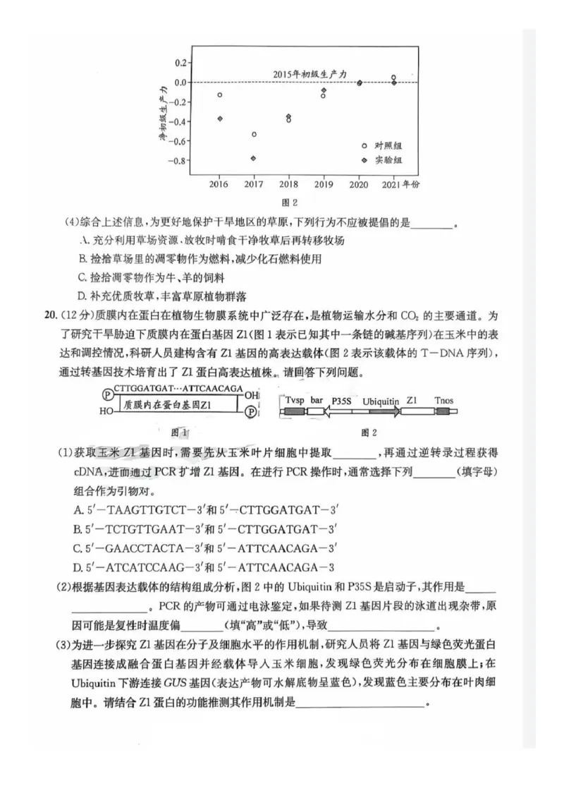 巴中市普通高中2023级&ldquo;一诊&rdquo;模拟考试生物(1)_2026年1月_260118四川省巴中市普通高中2023级&ldquo;一诊&rdquo;模拟考试（全科）
