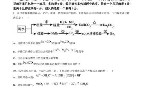 海南省海口市2025届高三上学期摸底考试化学试题（含答案）_11月_241103海南省海口市2024-2025学年高三上学期10月摸底考试