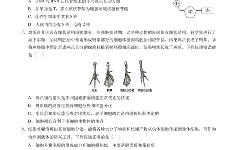 生物-2024届新高三开学摸底考试卷（老教材专用）(考试版)_2024届新高三开学摸底考试卷_生物-2024届新高三开学摸底考试卷_生物-2024届新高三开学摸底考试卷（全国通用，老教材）_39521014