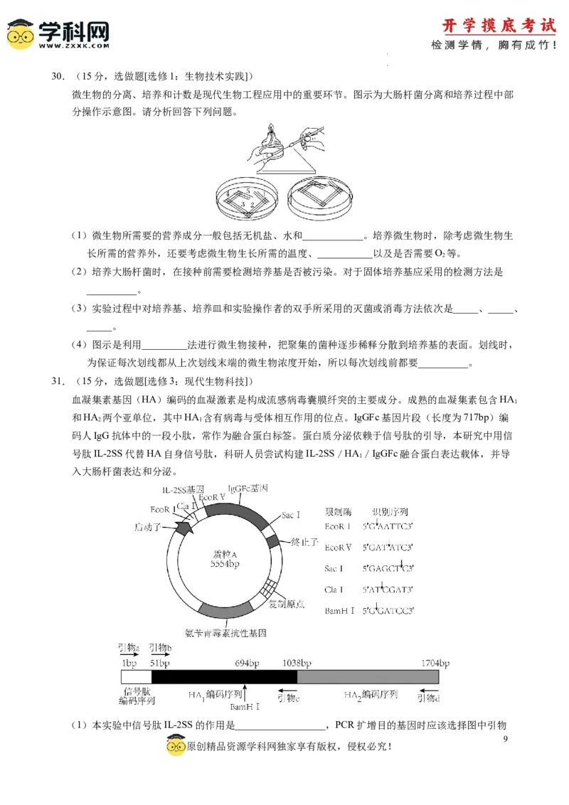 生物-2024届新高三开学摸底考试卷（老教材专用）(考试版)_2024届新高三开学摸底考试卷_生物-2024届新高三开学摸底考试卷_生物-2024届新高三开学摸底考试卷（全国通用，老教材）_39521014