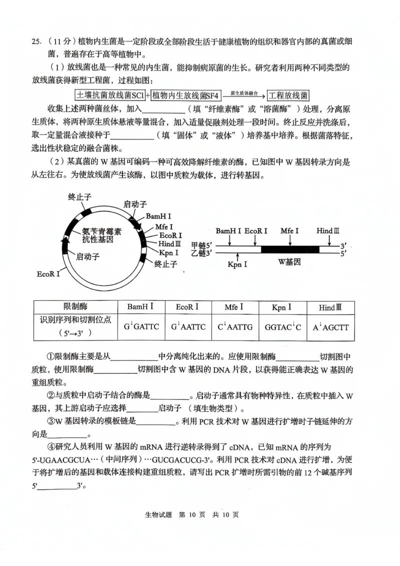 山东省青岛市2024届高三上学期期初调研生物(1)_2023年9月_029月合集_2024届山东省青岛市高三上学期期初调研