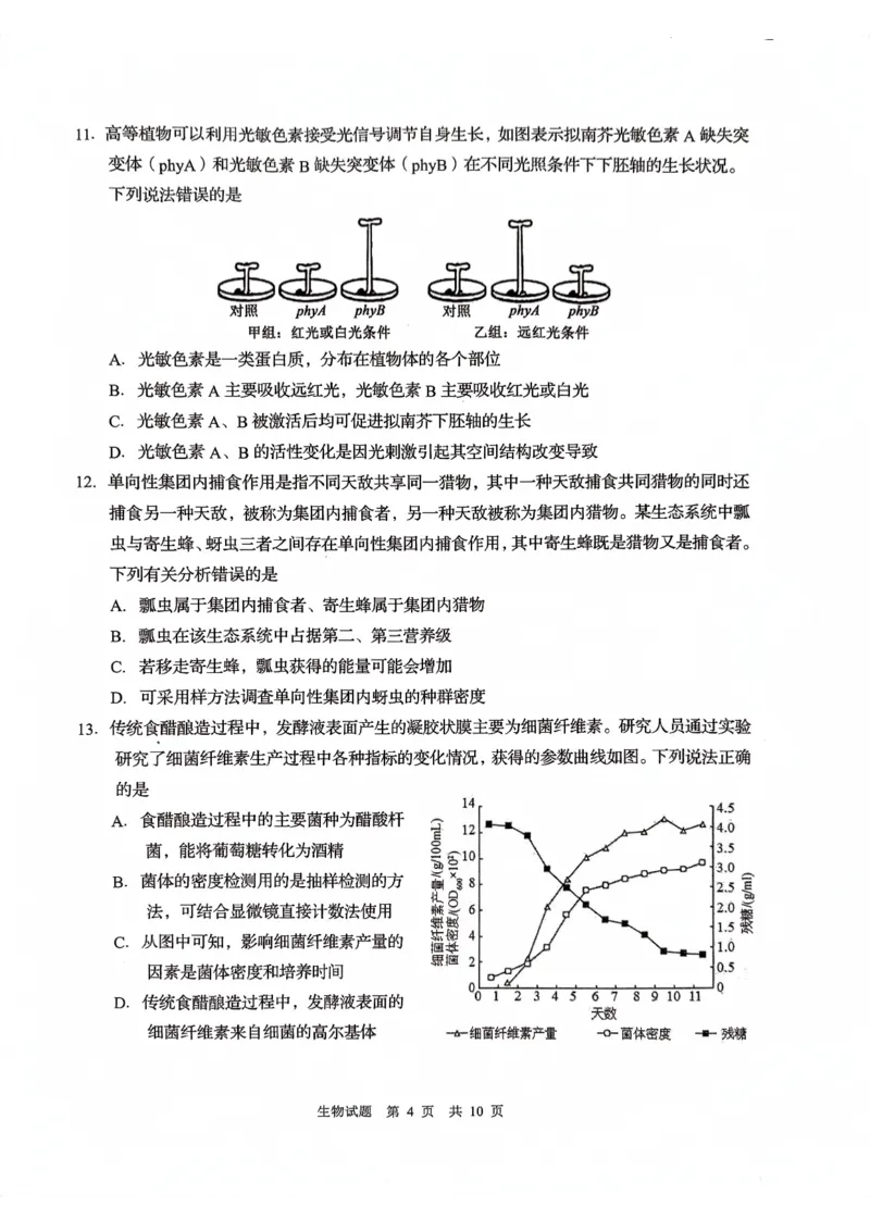 山东省青岛市2024届高三上学期期初调研生物(1)_2023年9月_029月合集_2024届山东省青岛市高三上学期期初调研