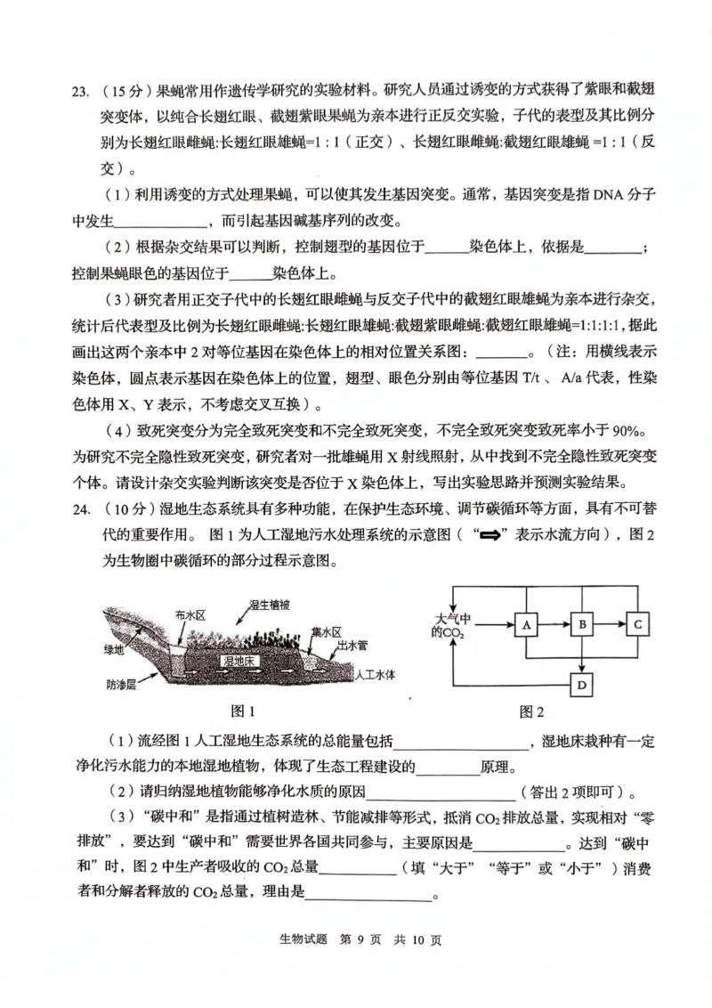 山东省青岛市2024届高三上学期期初调研生物(1)_2023年9月_029月合集_2024届山东省青岛市高三上学期期初调研