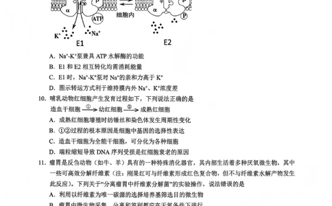大庆市2026届高三年级第二次教学质量检测生物(1)_2026年1月_260112黑龙江大庆市2026届高三年级第二次教学质量检测（全科）