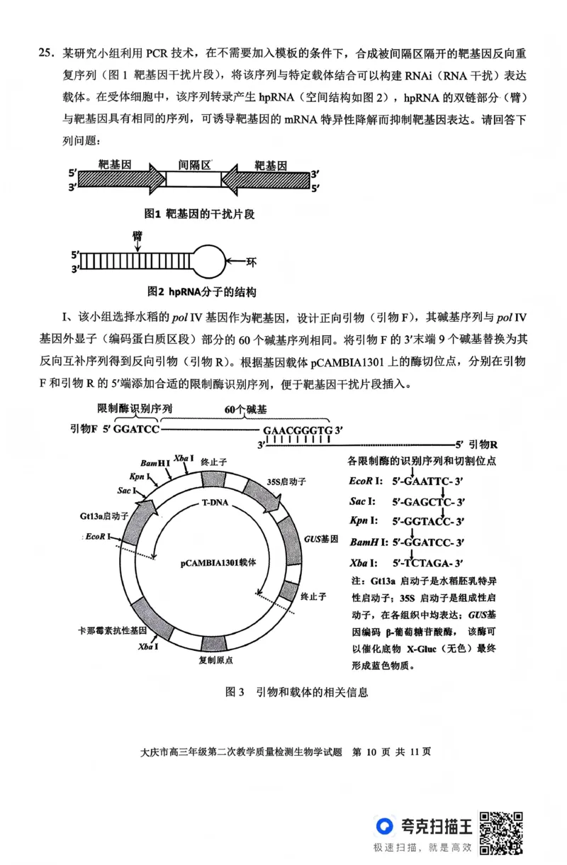 大庆市2026届高三年级第二次教学质量检测生物(1)_2026年1月_260112黑龙江大庆市2026届高三年级第二次教学质量检测（全科）