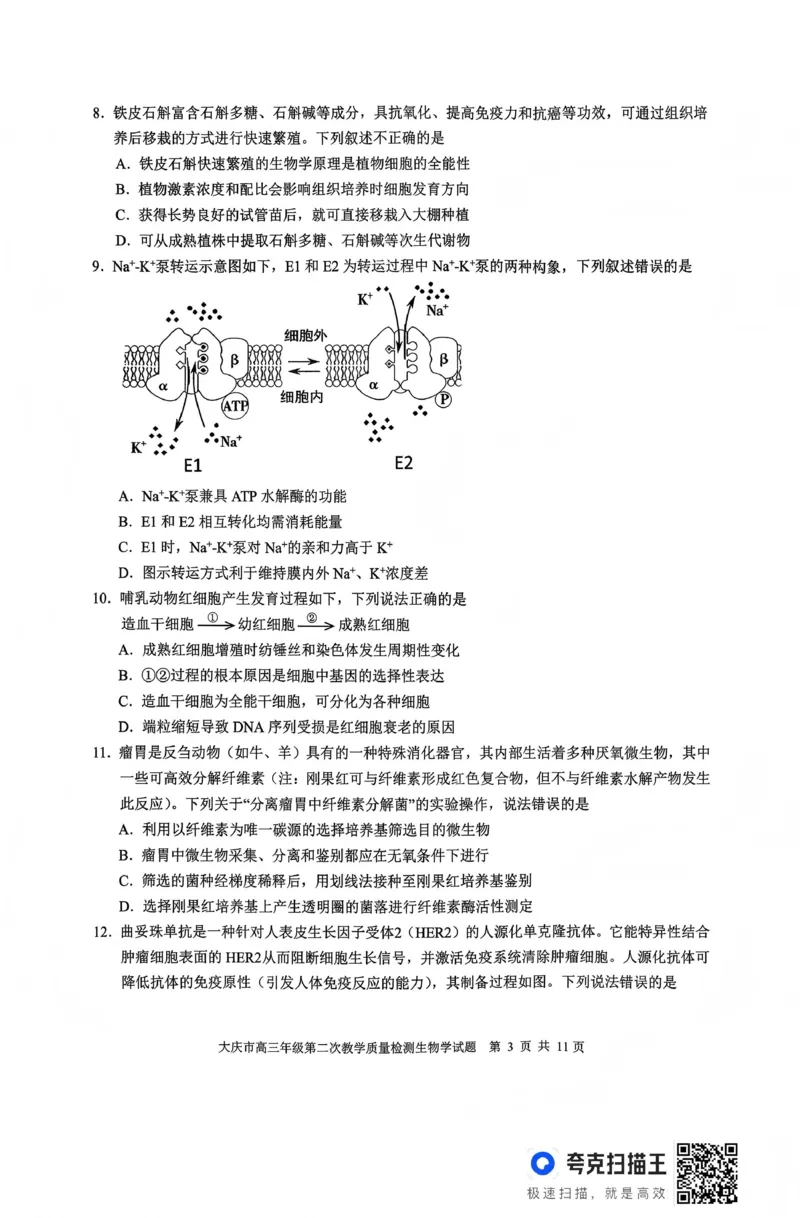 大庆市2026届高三年级第二次教学质量检测生物(1)_2026年1月_260112黑龙江大庆市2026届高三年级第二次教学质量检测（全科）