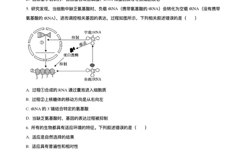 黑龙江省哈尔滨市香坊区哈尔滨市第六中学校2025-2026学年高三上学期1月期末生物试题+答案(1)_2026年1月_260111黑龙江省哈尔滨市第六中学校2025-2026学年高三上学期1月期末考试（全科）