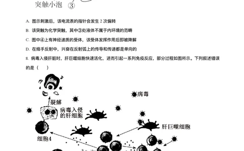 黑龙江省哈尔滨市香坊区哈尔滨市第六中学校2025-2026学年高三上学期1月期末生物试题+答案(1)_2026年1月_260111黑龙江省哈尔滨市第六中学校2025-2026学年高三上学期1月期末考试（全科）