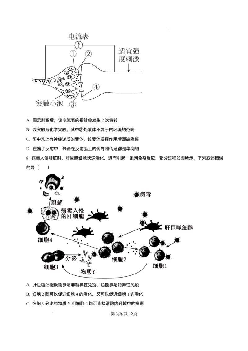 黑龙江省哈尔滨市香坊区哈尔滨市第六中学校2025-2026学年高三上学期1月期末生物试题+答案(1)_2026年1月_260111黑龙江省哈尔滨市第六中学校2025-2026学年高三上学期1月期末考试（全科）
