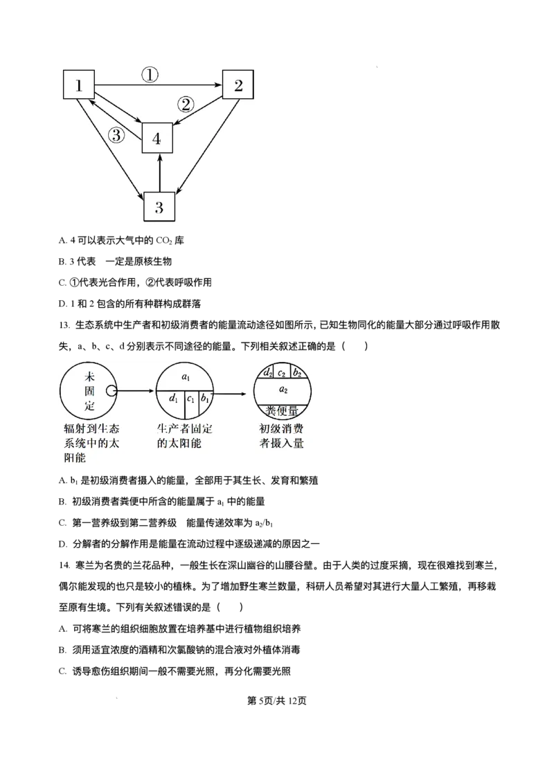 黑龙江省哈尔滨市香坊区哈尔滨市第六中学校2025-2026学年高三上学期1月期末生物试题+答案(1)_2026年1月_260111黑龙江省哈尔滨市第六中学校2025-2026学年高三上学期1月期末考试（全科）