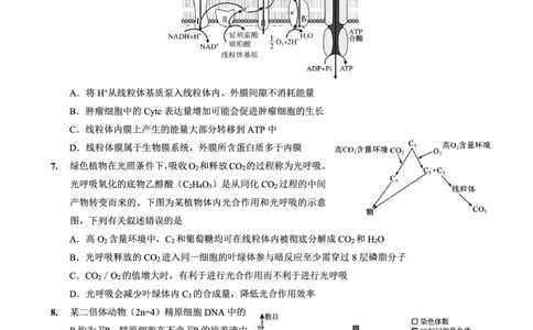 重庆外国语学校高2026届高三（上）10月月考（三）生物_2025年10月_251016重庆实验外国语学校2025-2026学年度（上）高2026届10月月考（三）（全科）
