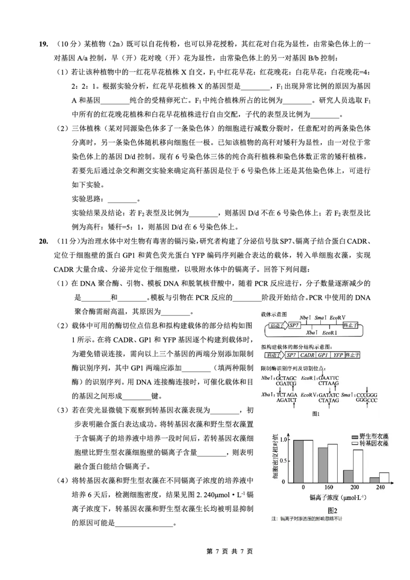 重庆外国语学校高2026届高三（上）10月月考（三）生物_2025年10月_251016重庆实验外国语学校2025-2026学年度（上）高2026届10月月考（三）（全科）