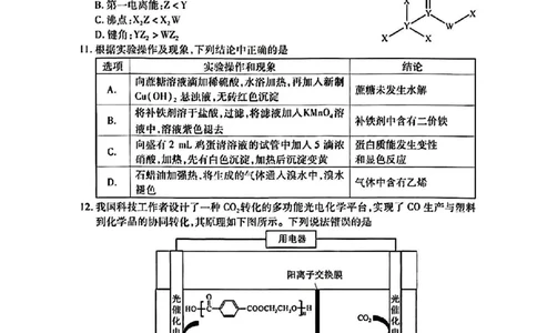 2024届武汉市高三九调化学试卷_2023年9月_01每日更新_8号_2024届湖北省武汉市高三九月调研考试_2024届湖北省武汉市高三九月调研考试化学