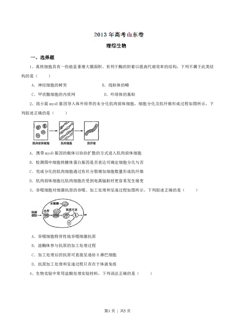 2013年高考生物试卷（山东）（空白卷）_生物历年高考真题_新&middot;PDF版2008-2025&middot;高考生物真题_生物（按省份分类）2008-2025_2008-2025&middot;（山东）生物高考真题