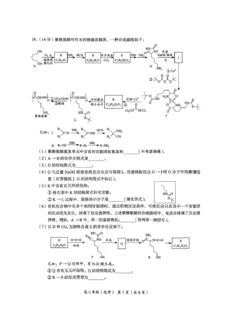 2026届高三海淀期末考试化学试题(1)_2026年1月_260123北京市海淀区2025一2026学年度第一学期期末统一检测（全科）