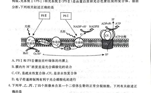 辽宁名校联盟高三5月考生物试卷_2025年5月_250508辽宁省名校联盟2025年高三5月份联合考试