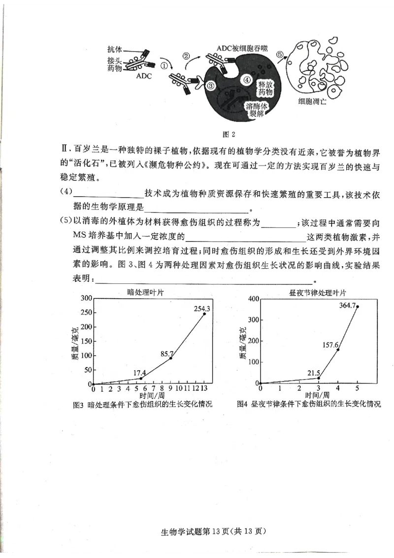 辽宁名校联盟高三5月考生物试卷_2025年5月_250508辽宁省名校联盟2025年高三5月份联合考试