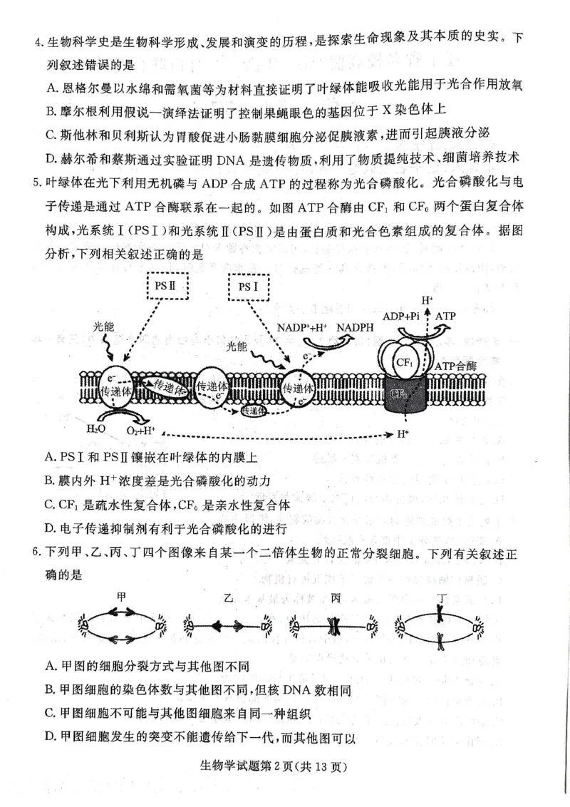 辽宁名校联盟高三5月考生物试卷_2025年5月_250508辽宁省名校联盟2025年高三5月份联合考试
