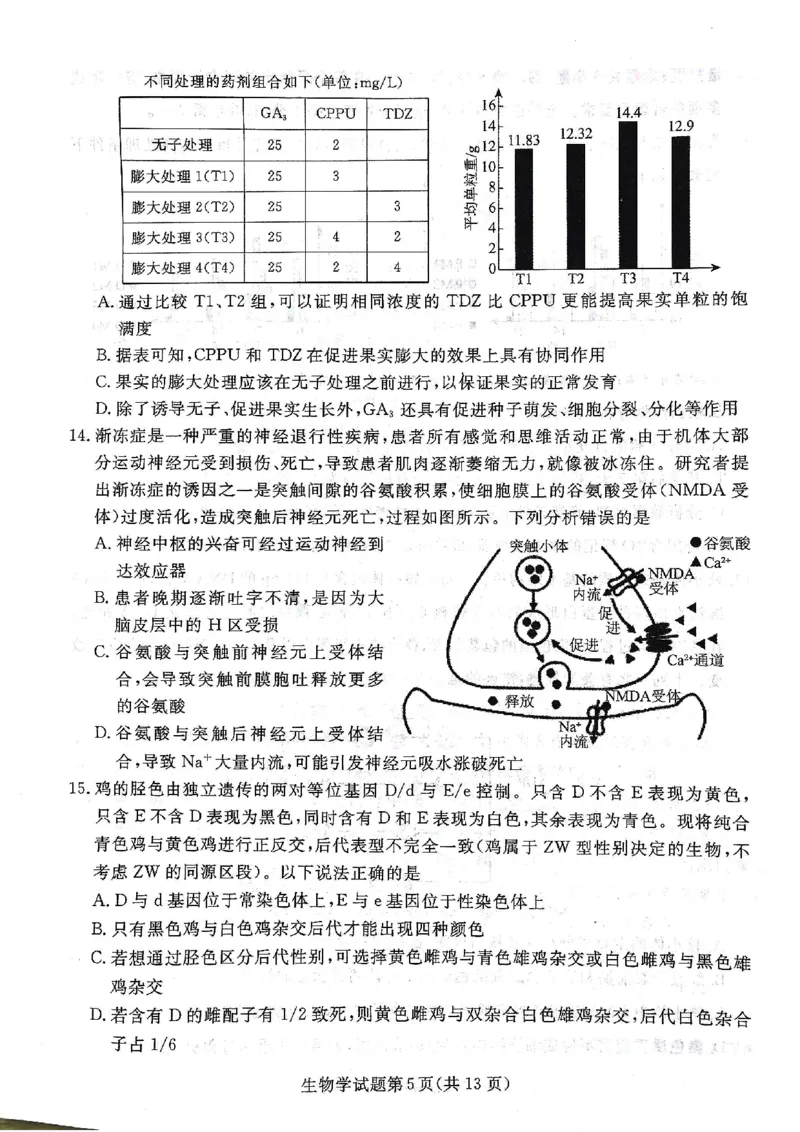 辽宁名校联盟高三5月考生物试卷_2025年5月_250508辽宁省名校联盟2025年高三5月份联合考试