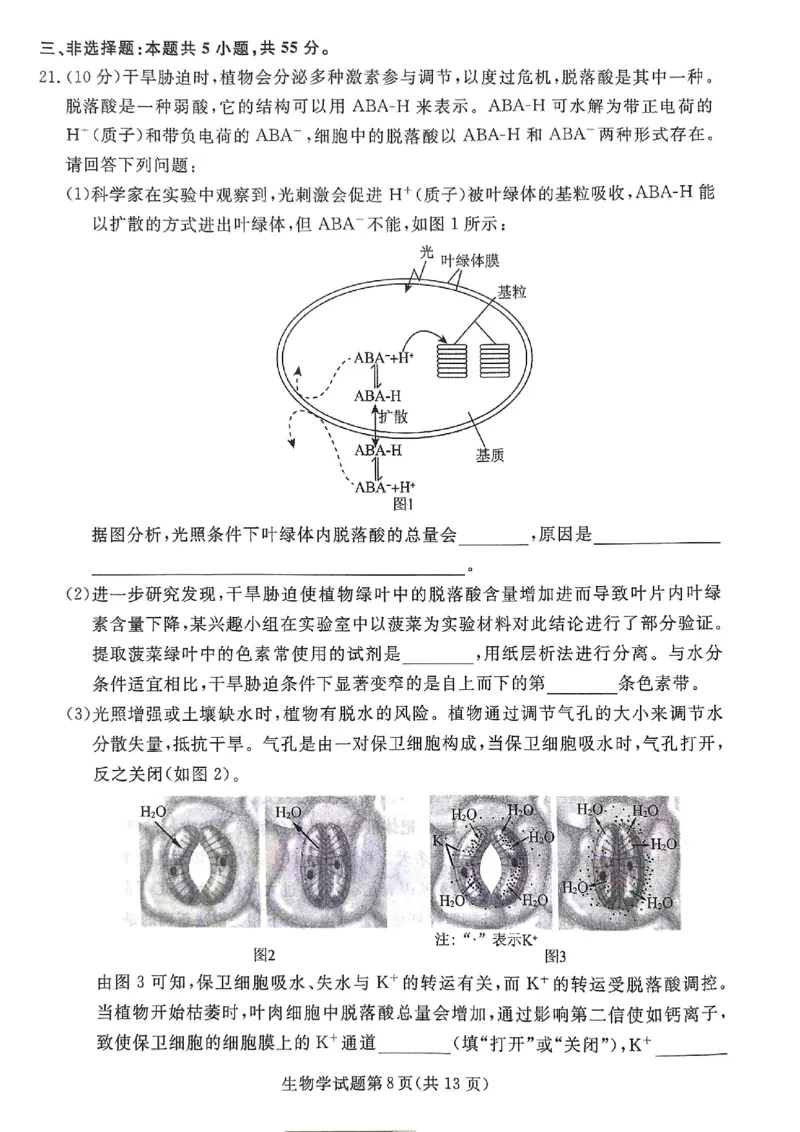 辽宁名校联盟高三5月考生物试卷_2025年5月_250508辽宁省名校联盟2025年高三5月份联合考试