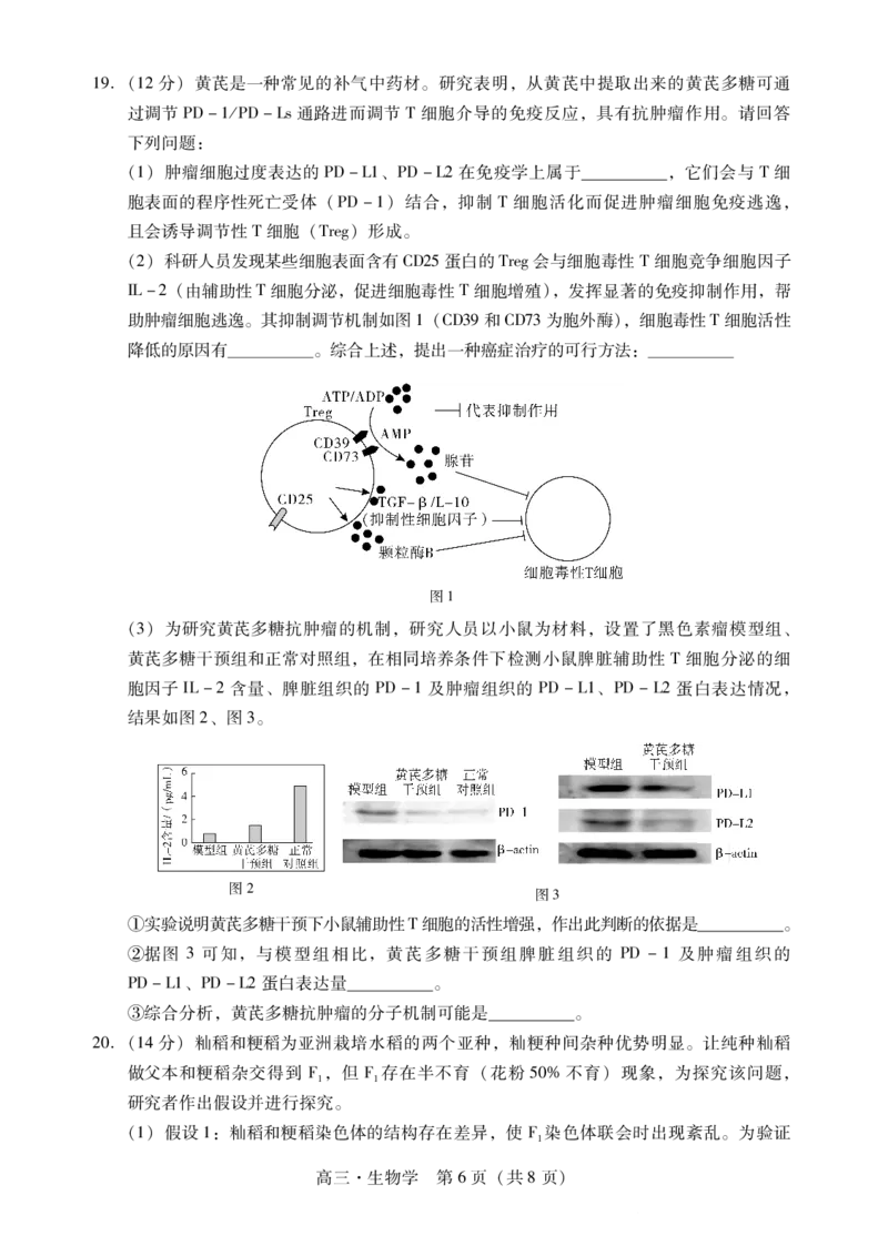 生物试题卷(1)_2026年1月_260130广东省肇庆市2026届高中毕业班高三年级第一学期末教学质量监测（肇庆二模）（全科）