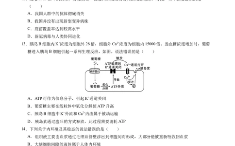 生物-2024届新高三开学摸底考试卷（新教材专用）01(考试版)_2024届新高三开学摸底考试卷_生物-2024届新高三开学摸底考试卷_生物-2024届新高三开学摸底考试卷（全国通用，新教材）01