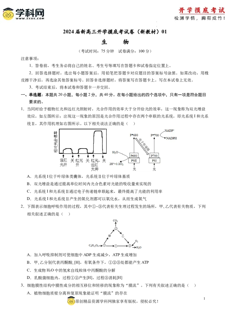 生物-2024届新高三开学摸底考试卷（新教材专用）01(考试版)_2024届新高三开学摸底考试卷_生物-2024届新高三开学摸底考试卷_生物-2024届新高三开学摸底考试卷（全国通用，新教材）01
