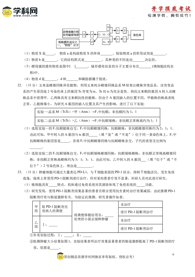 生物-2024届新高三开学摸底考试卷（新教材专用）01(考试版)_2024届新高三开学摸底考试卷_生物-2024届新高三开学摸底考试卷_生物-2024届新高三开学摸底考试卷（全国通用，新教材）01