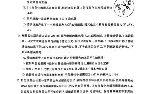 河南省新未来联考2024届高三上学期10月考试生物(1)_2023年10月_01每日更新_14号_2024届河南省新未来联考高三上学期10月考试