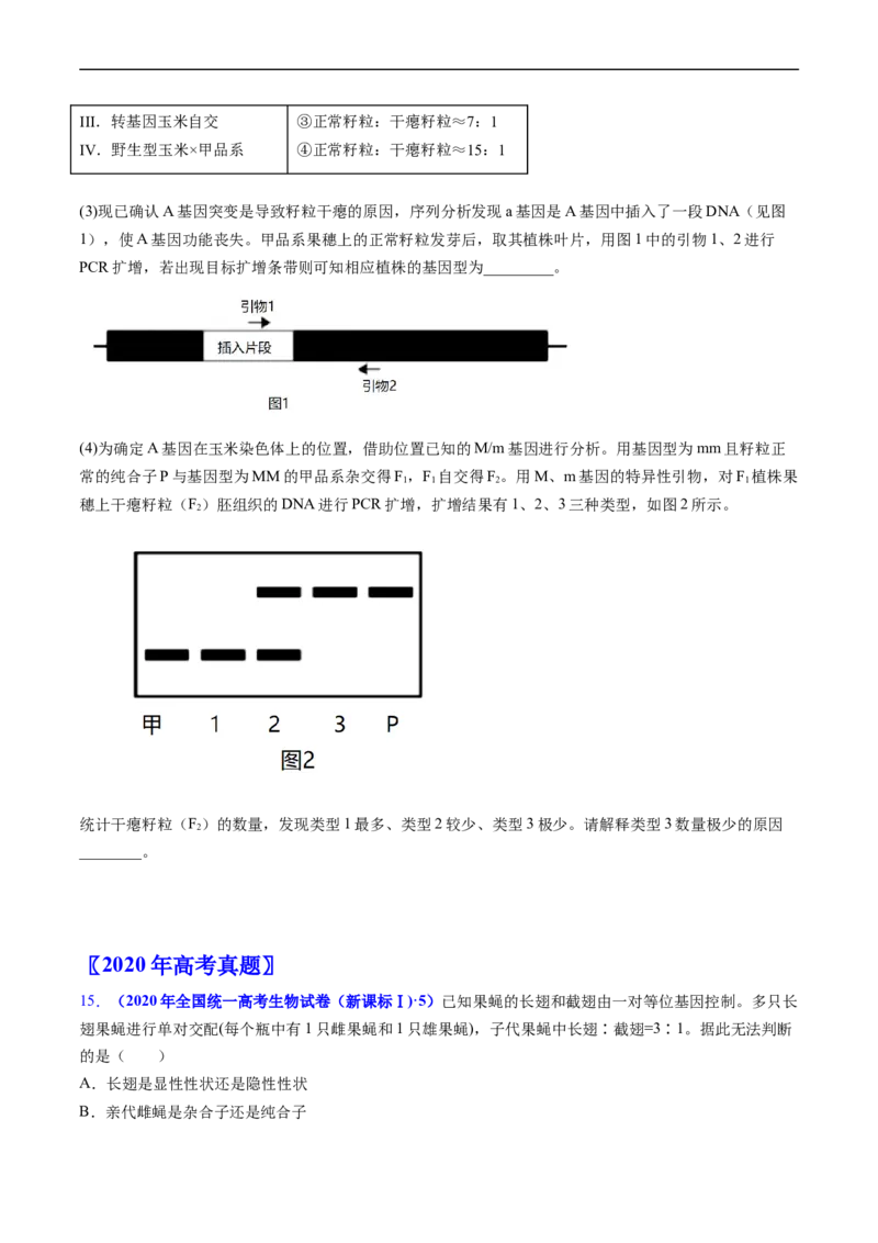 专题09基因的分离定律-五年（2019-2023）高考生物真题分项汇编（全国通用）（原卷版）_赠送：2008-2024全套高考真题_高考生物真题_送高考生物五年真题(2019-2023)分项汇编（全国通用）