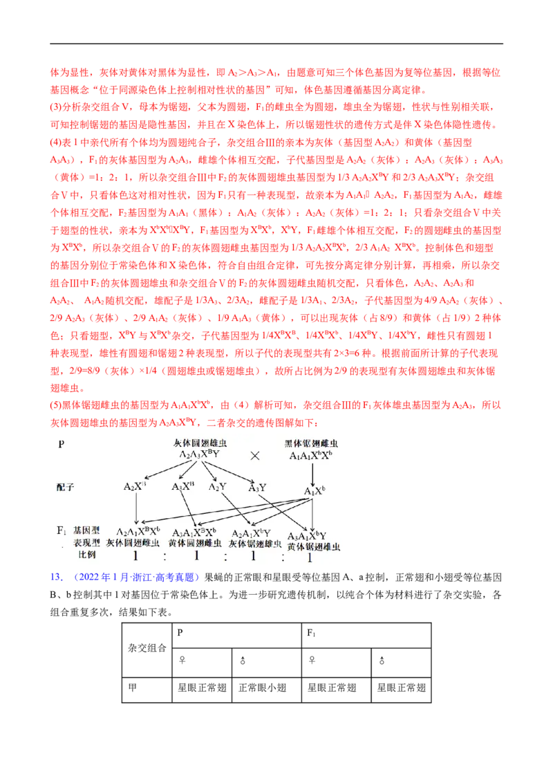专题11伴性遗传和人类遗传病-五年（2019-2023）高考生物真题分项汇编（全国通用）（解析版）_赠送：2008-2024全套高考真题_高考生物真题