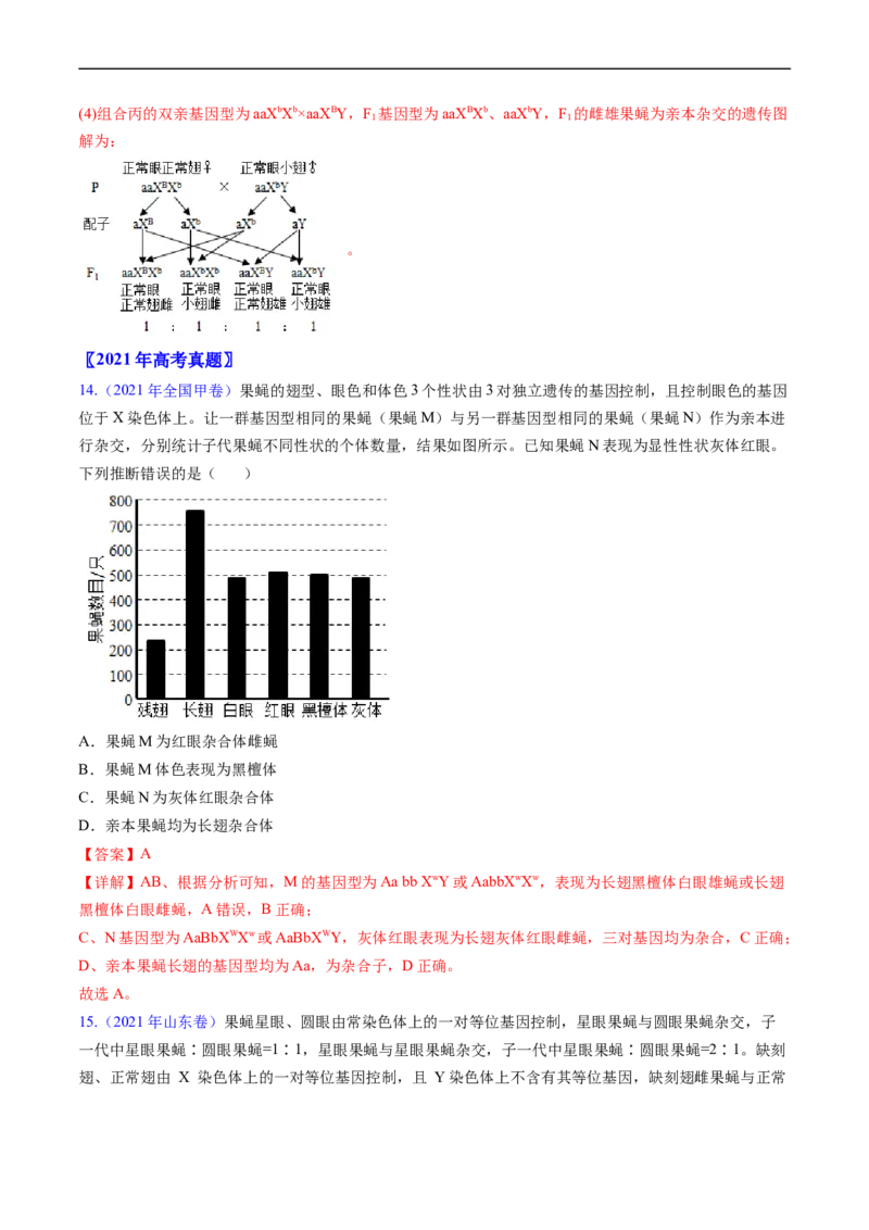专题11伴性遗传和人类遗传病-五年（2019-2023）高考生物真题分项汇编（全国通用）（解析版）_赠送：2008-2024全套高考真题_高考生物真题