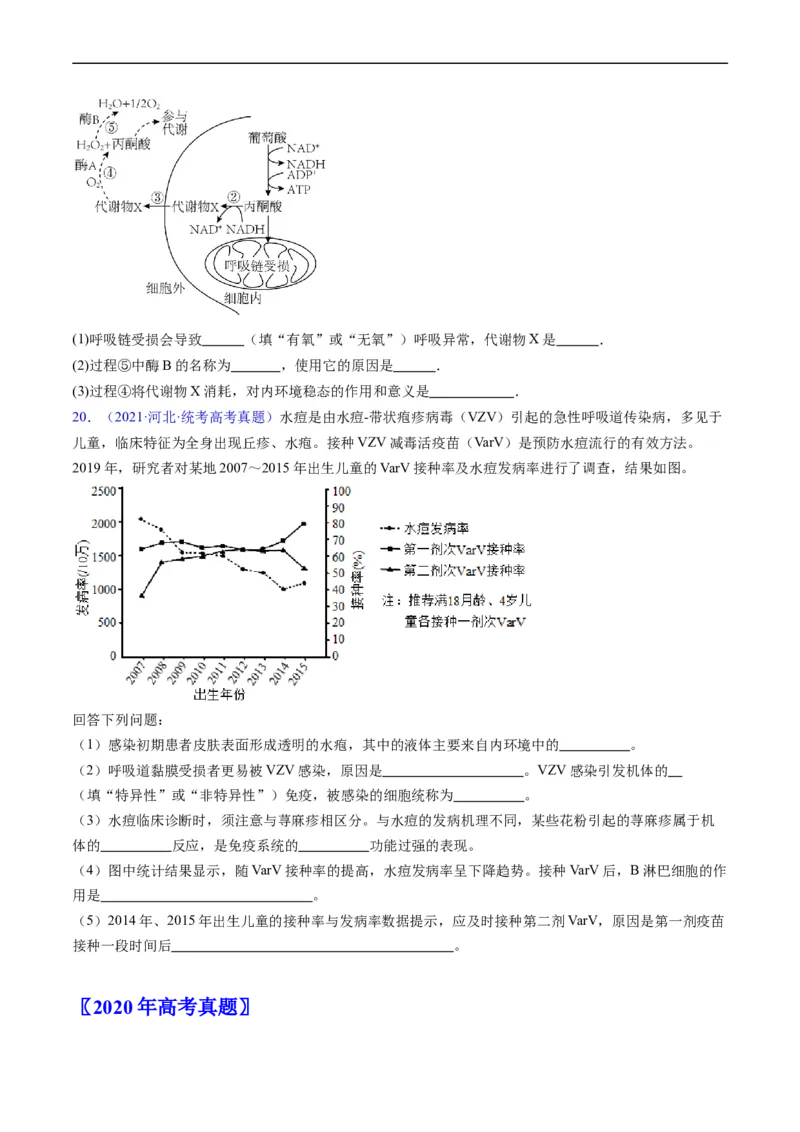 专题13内环境及其稳态-五年（2019-2023）高考生物真题分项汇编（全国通用）（原卷版）_赠送：2008-2024全套高考真题_高考生物真题_送高考生物五年真题(2019-2023)分项汇编（全国通用）