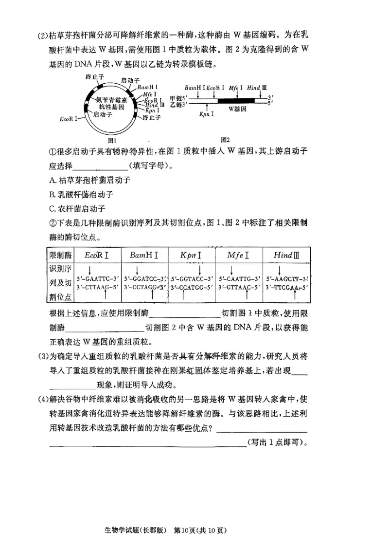 湖南省长郡中学2024届高三月考试卷（一）生物_2023年9月_01每日更新_13号_全科2024届湖南省长郡中学高三月考试卷（一）_湖南省长郡中学2024届高三月考试卷（一）生物