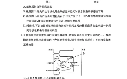 湖南省长郡中学2024届高三月考试卷（一）生物_2023年9月_01每日更新_13号_全科2024届湖南省长郡中学高三月考试卷（一）_湖南省长郡中学2024届高三月考试卷（一）生物