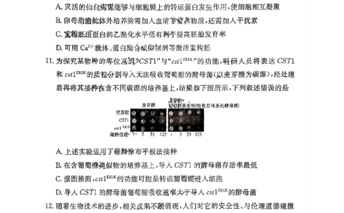 湖南省长郡中学2024届高三月考试卷（一）生物_2023年9月_01每日更新_13号_全科2024届湖南省长郡中学高三月考试卷（一）_湖南省长郡中学2024届高三月考试卷（一）生物