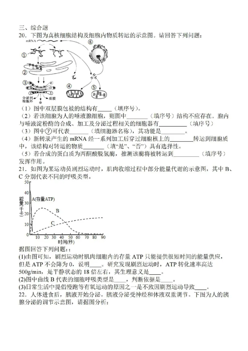 江苏省徐州2024届部分学校高三上学期期初试卷生物(1)_2023年9月_029月合集_2024届江苏省徐州部分学校高三上学期期初试卷