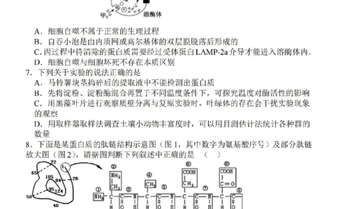 江苏省徐州2024届部分学校高三上学期期初试卷生物(1)_2023年9月_029月合集_2024届江苏省徐州部分学校高三上学期期初试卷