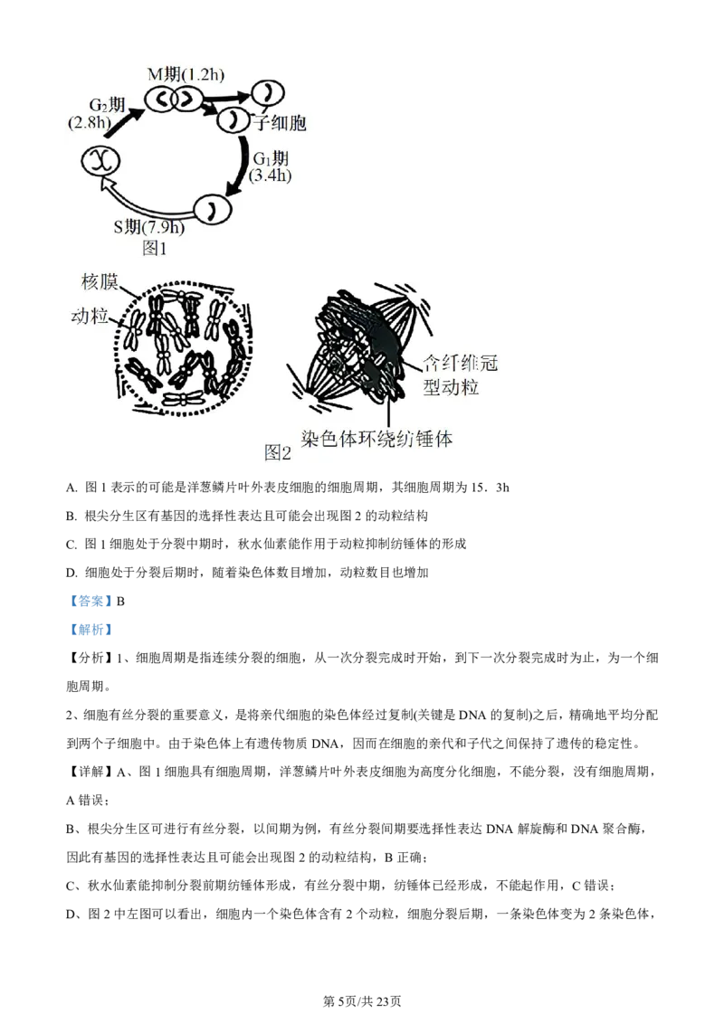 辽宁省名校协作体2023-2024学年高三上学期9月联考生物答案(1)_2023年9月_029月合集_2024届辽宁省名校协作体高三上学期9月联考