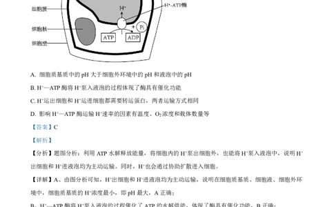 辽宁省名校协作体2023-2024学年高三上学期9月联考生物答案(1)_2023年9月_029月合集_2024届辽宁省名校协作体高三上学期9月联考
