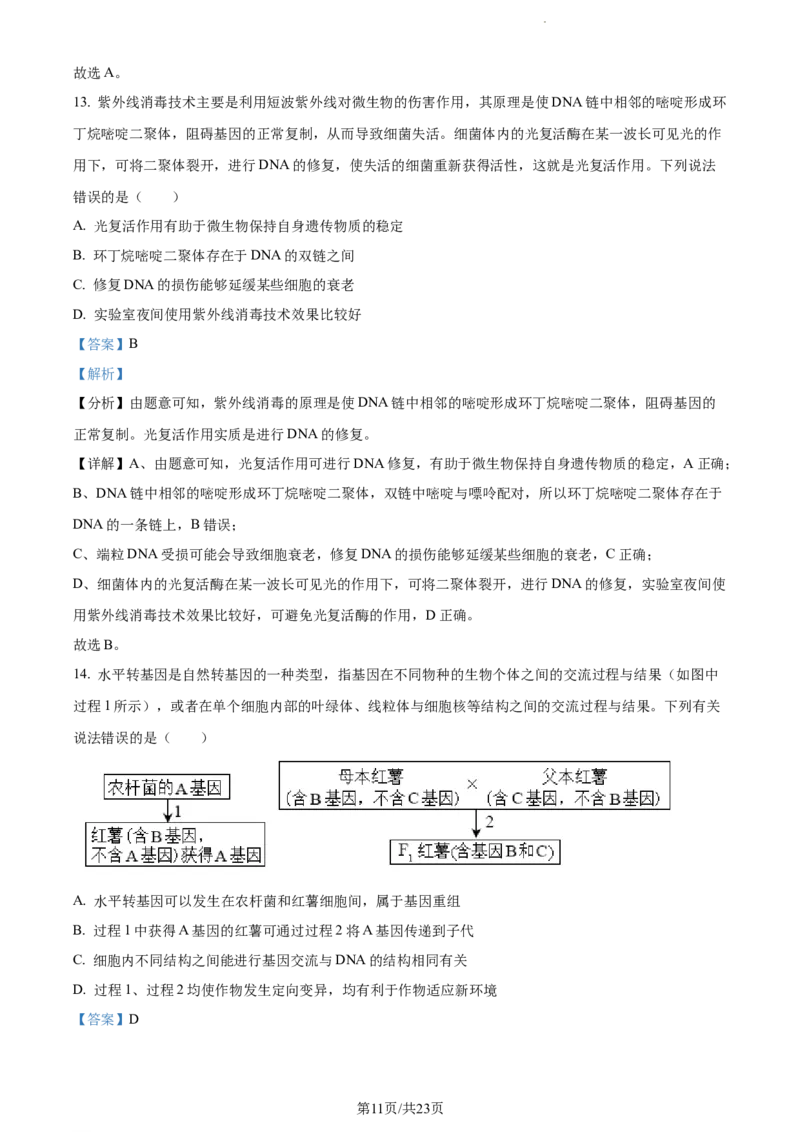 精品解析：山东省菏泽市鄄城县一中2023-2024学年高三10月月考生物试题（解析版）(1)_2023年10月_0210月合集_2024届山东省菏泽市鄄城县第一中学高三上学期10月月考