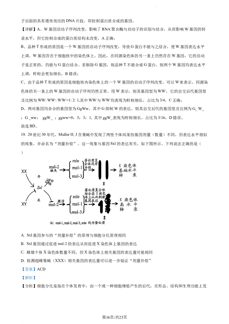 精品解析：山东省菏泽市鄄城县一中2023-2024学年高三10月月考生物试题（解析版）(1)_2023年10月_0210月合集_2024届山东省菏泽市鄄城县第一中学高三上学期10月月考