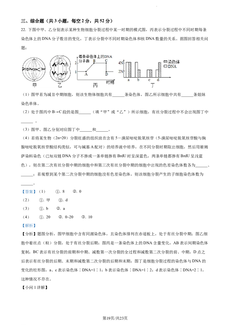 精品解析：山东省菏泽市鄄城县一中2023-2024学年高三10月月考生物试题（解析版）(1)_2023年10月_0210月合集_2024届山东省菏泽市鄄城县第一中学高三上学期10月月考
