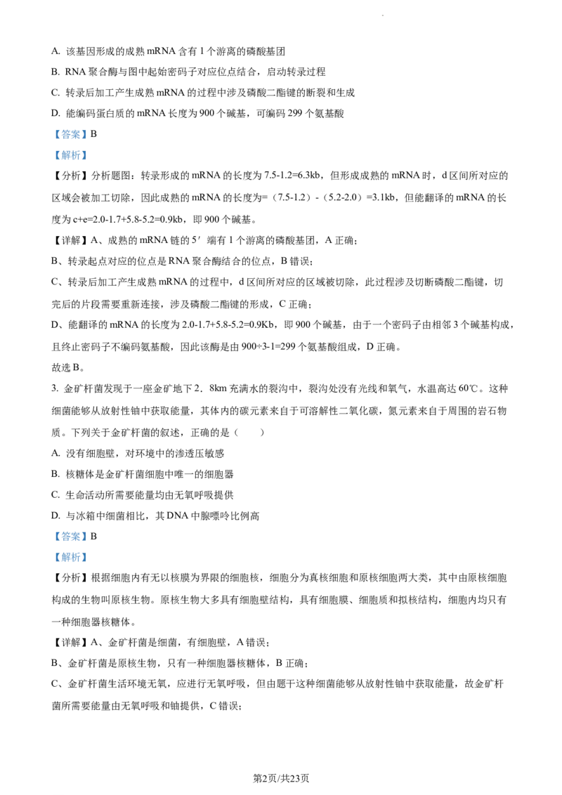 精品解析：山东省菏泽市鄄城县一中2023-2024学年高三10月月考生物试题（解析版）(1)_2023年10月_0210月合集_2024届山东省菏泽市鄄城县第一中学高三上学期10月月考