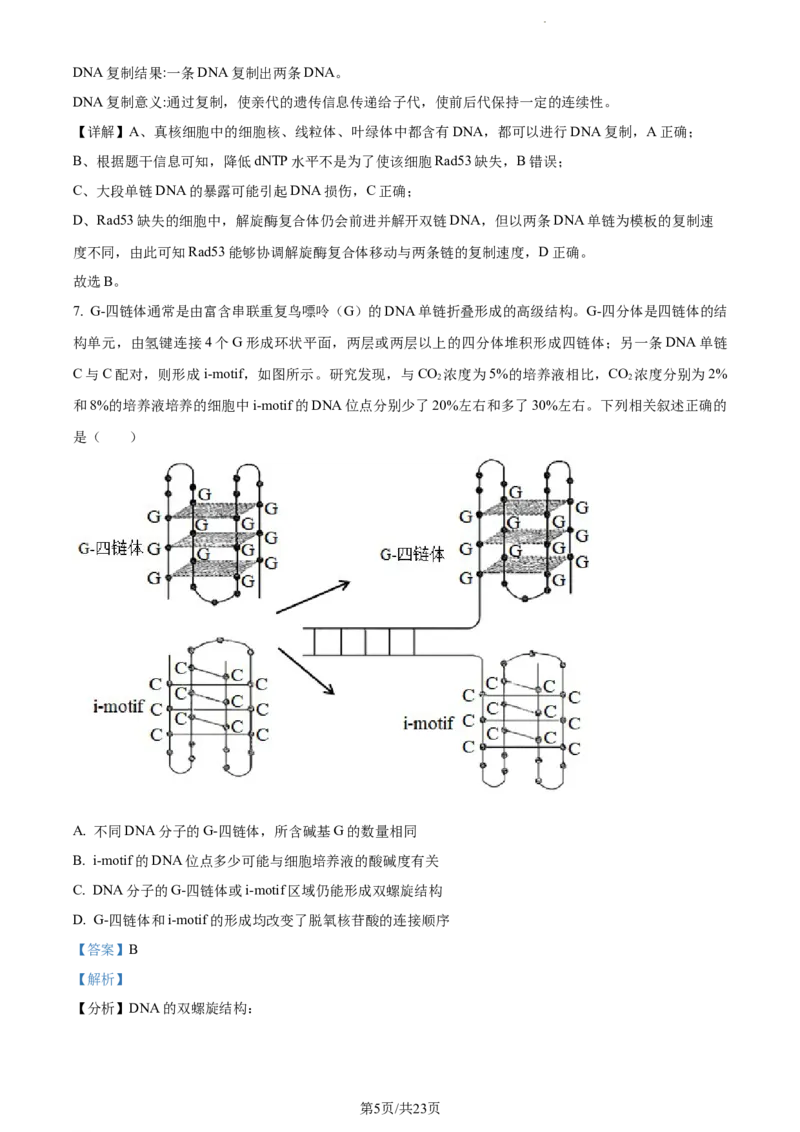 精品解析：山东省菏泽市鄄城县一中2023-2024学年高三10月月考生物试题（解析版）(1)_2023年10月_0210月合集_2024届山东省菏泽市鄄城县第一中学高三上学期10月月考