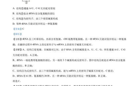 精品解析：山东省菏泽市鄄城县一中2023-2024学年高三10月月考生物试题（解析版）(1)_2023年10月_0210月合集_2024届山东省菏泽市鄄城县第一中学高三上学期10月月考
